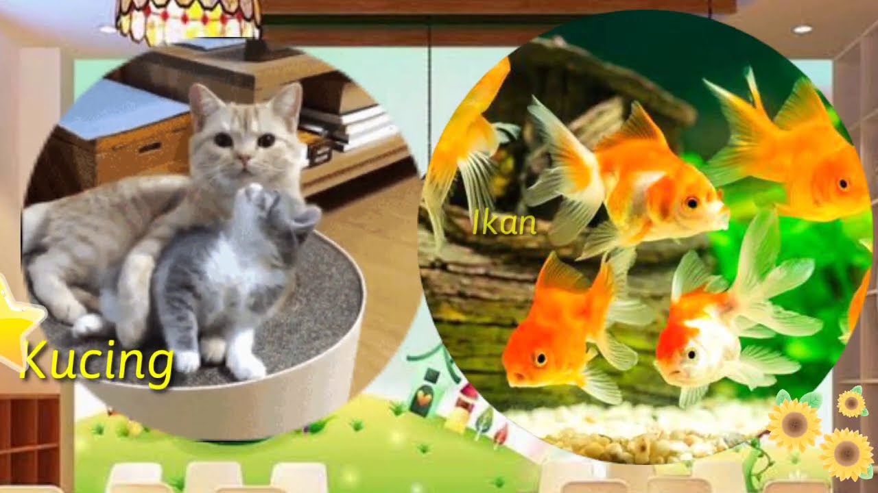 PERTUMBUHAN DAN PERKEMBANGAN MAKHLUK HIDUP | Tematik Kelas 3 SD