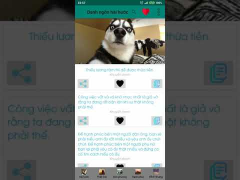 Bilingual Status Video