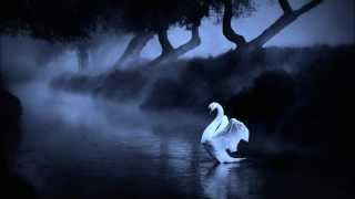 Joutsenlaulu (instrumental Cover)