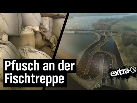 Realer Irrsinn: Pfusch an der Fischtreppe in Geesthacht | extra 3 | NDR