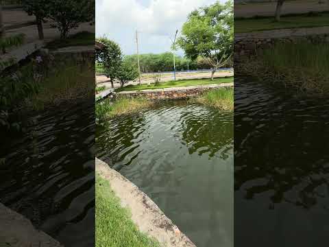 Lugar de Paz! Caldeirão Grande- Bahia