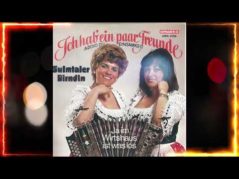 DIE SULMTALER DIRNDLN ja im wirtshaus ist was los 😘