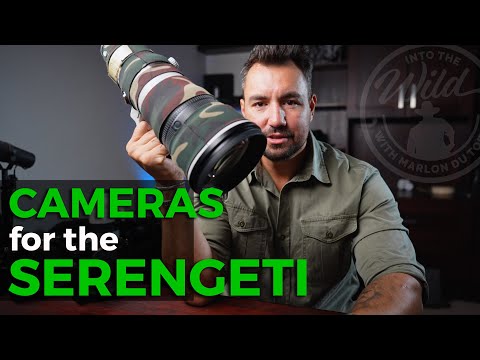 Camera Gear for your Serengeti Safari