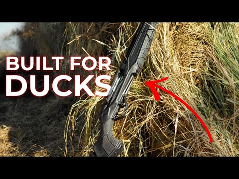 This Gun was BORN for this!