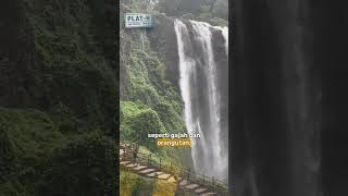 Download lagu Curug Sewu Kendal Air Terjun Tertinggi di Jawa Tengah dengan Tiga Tingkatan Indah mp3 Download lagu Curug Sewu Kendal Air Terjun Tertinggi di Jawa Tengah dengan Tiga Tingkatan Indah mp3