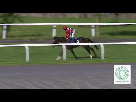 Dostihy Chuchle Arena Praha 26. 6. 2022 - 6. dostih - Cena společnosti Tipsport