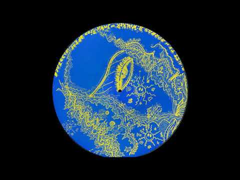 Dj.ungle Fever 025 - Wallker - B - Invasion Of The Bassface