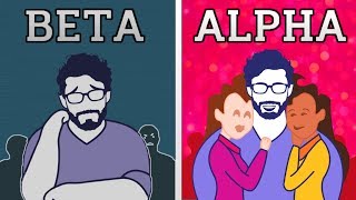 Are You an Alpha or Beta Male?