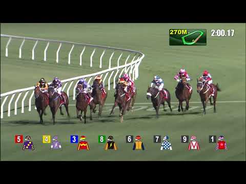 16/2/2022 (426) Above - R Maia