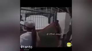 Download lagu story WA lucu #polisi mp3