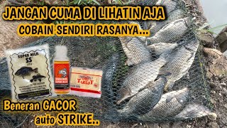 Download lagu GACOR BAIT THAT MAKES YOU STRIKE HARVEST‼️YOU CAN STRIKE CONTINUOUSLY IF YOU USE THIS MIXTURE mp3 Download lagu GACOR BAIT THAT MAKES YOU STRIKE HARVEST‼️YOU CAN STRIKE CONTINUOUSLY IF YOU USE THIS MIXTURE mp3