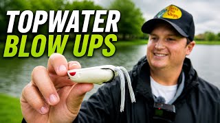 Throwing BIG BASS Lures Only! Giant Topwater Frog Blowup! (Bass Fishing Ponds in Fort Worth Texas)
