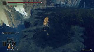 【PS5】エルデンリング DLC 実況なし #7