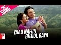 O Yaad Nahi Bhool Gaya Lyrics - Lamhe
