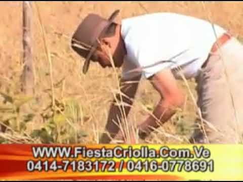 Cruz Tenepe   El Campesino