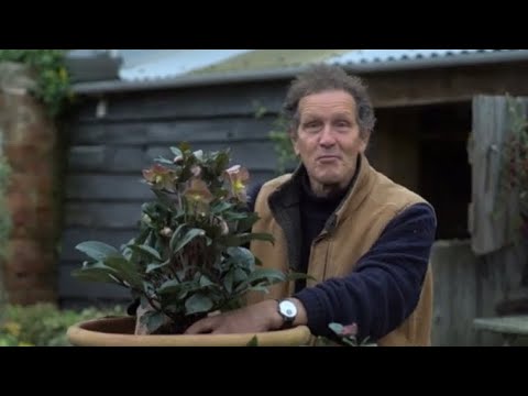 Gardeners World Winter Special 2021/22 Episode 3 #gardenersworld #originalgardening