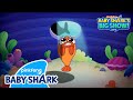 NEW Hide And Hunt Baby Shark S Big Show Nickelodeon X Baby Shark Baby Shark Official