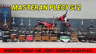 Download lagu MASTERAN PLECI G12 speed rapet disertai terapi gemricik air | terapi otak pleci | pleci banyu langit mp3 Download lagu MASTERAN PLECI G12 speed rapet disertai terapi gemricik air | terapi otak pleci | pleci banyu langit mp3