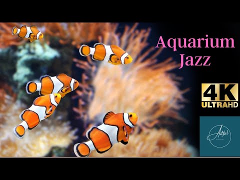 4K Aquarium Jazz for Study and Relaxation
