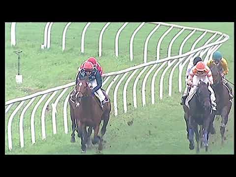 Galoppo 03/12/2020 - 1ª corsa