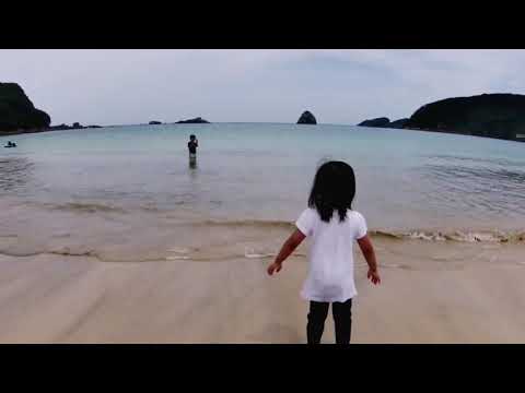 Let's Play at the Beach! 🌴🏖️