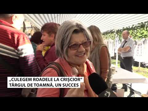 „Culegem Roadele La Crișcior”. Târgul de toamnă, un succes