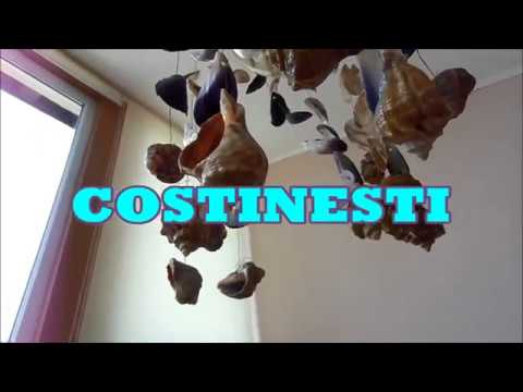 VILA PESTISORUL 2018