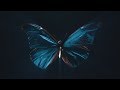 The Butterfly Effect The Butterfly Effect