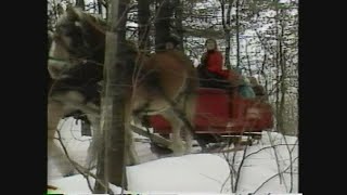 The Maine Christmas song turns 35 years old