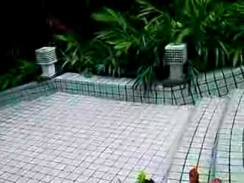 Happy Birthday for Dorcas ~ 10-08-2006