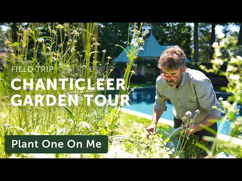 Summer Rayne Oakes and Flock Finger Lakes