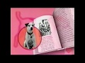 Wishbone PBS Library Promo 2001