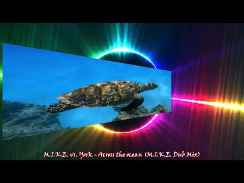 M.I.K.E.  vs. York - Across the ocean (M.I.K.E.  Dub Mix)