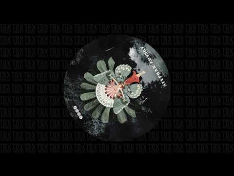 Stephan Zovsky  - Hold Your Ground (3000 Grad Records)