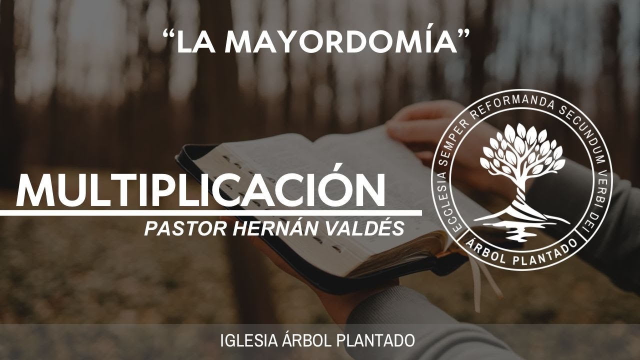 361 - La mayordomía - Multiplicación