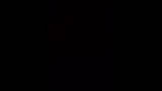 SayWeCanFly Pawprints cover