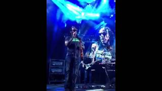 True Reflections Dave Matthews Band Mansfield liberation 2013