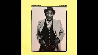 Muddy Waters &quot;Bus Driver&quot;