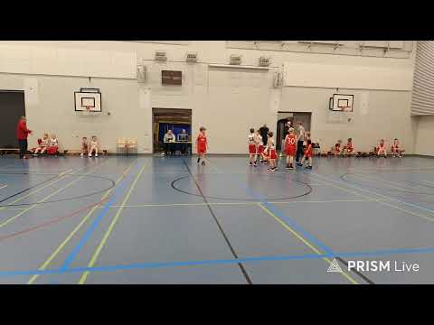 Salon Vilpas - Ura Basket White