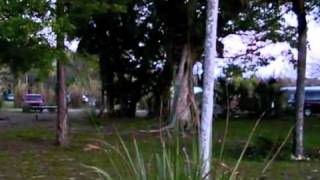 preview picture of video 'Trail Lakes Campground, Ochopee, FL'