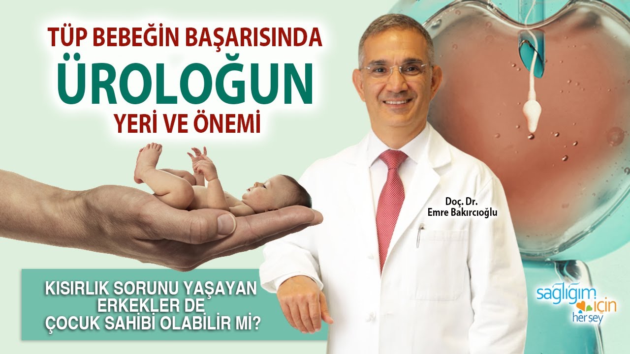 Tüp Bebeğin Başarısında Üroloğun Yeri ve Önemi