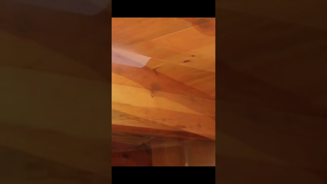 Las vigas de madera para que sirven #shorts