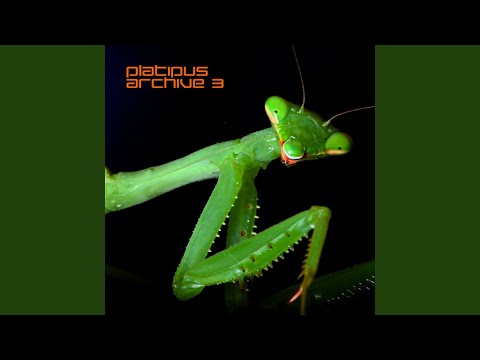 Don't Be Afraid (Remastered) feat. Katie Ashley