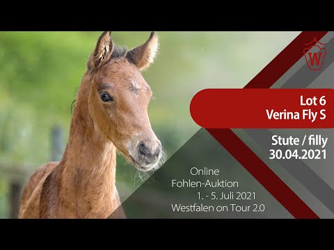 "Westfalen on Tour 2.0"-Auktion - Lot 6 Verina Fly S v. Verdi - Sir Shutterfly