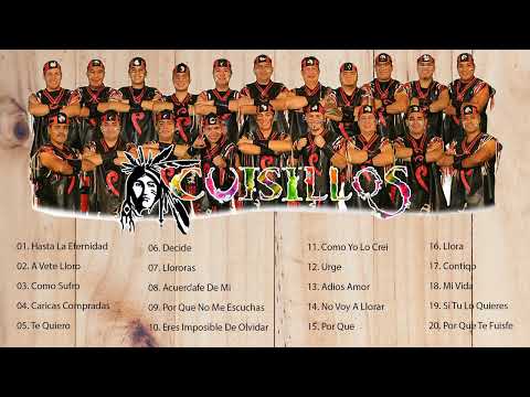 Cuisillos de Arturo Macias | Las 20 Mejores Canciones De Cuisillos de Arturo Macias | Mix banda 2023