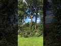 IMG 7063