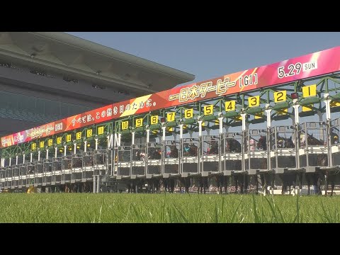 2022 TOKYO YUSHUN (JAPANESE DERBY) (G1) | JRA Official