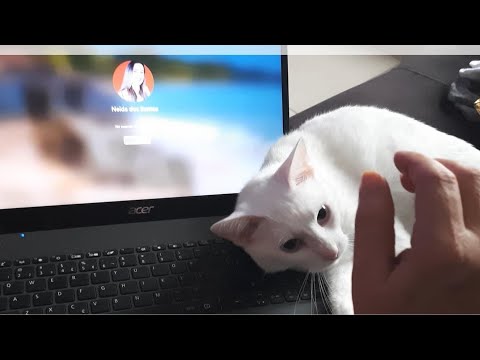 ELA DESTRUIU O NOTBOOK DA NEIDA 😱