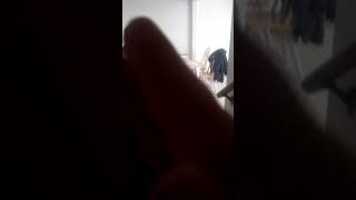 Little sister and step dad play fight