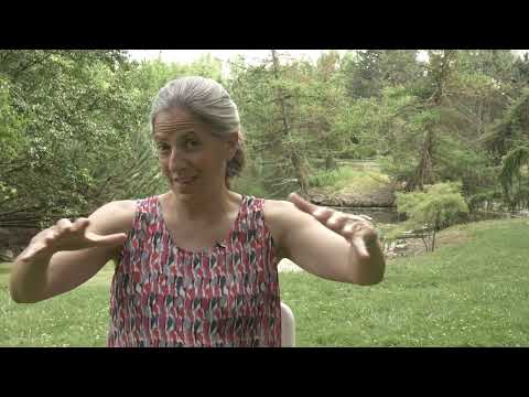 Jack Kredell interviews Teresa Cohn, an instructor at the Taylor Wilderness Research Station in 2015. Teresa talks about her experience visiting the research station for the first time, her involvement at Taylor Ranch, the community of researchers.